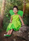 Fairytale Dress By Zari