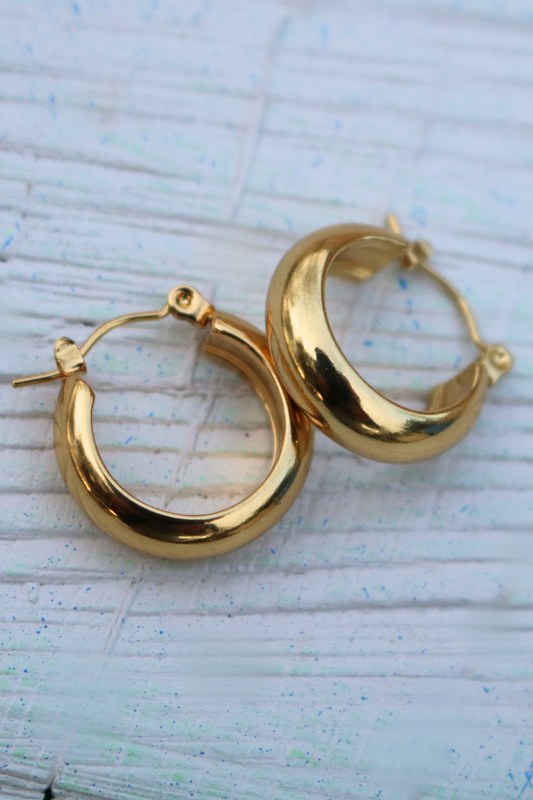 Hoop Earrings